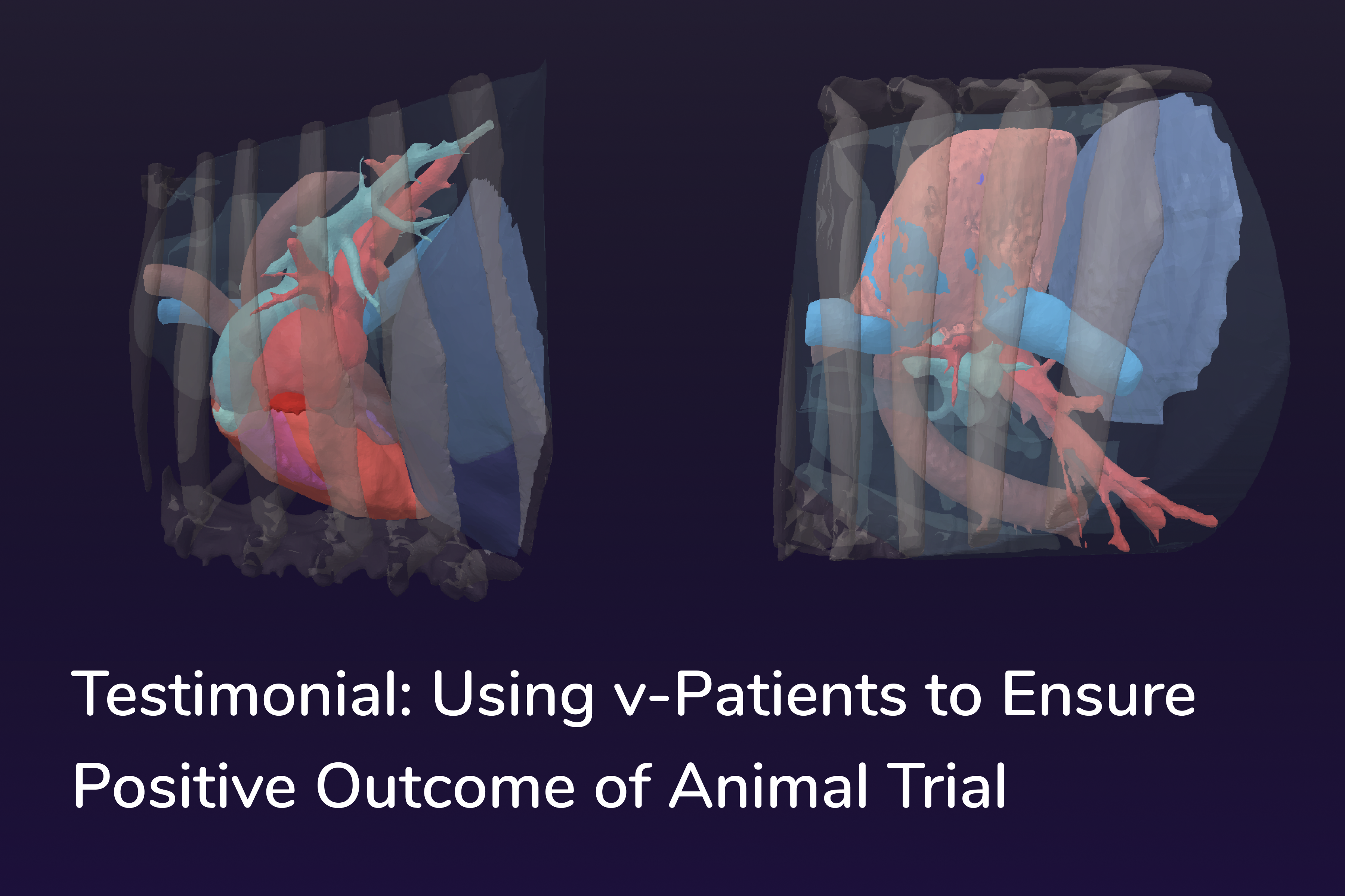 Customer Success Story: Using v-Patients to Ensure Positive Outcome of Animal Trials
