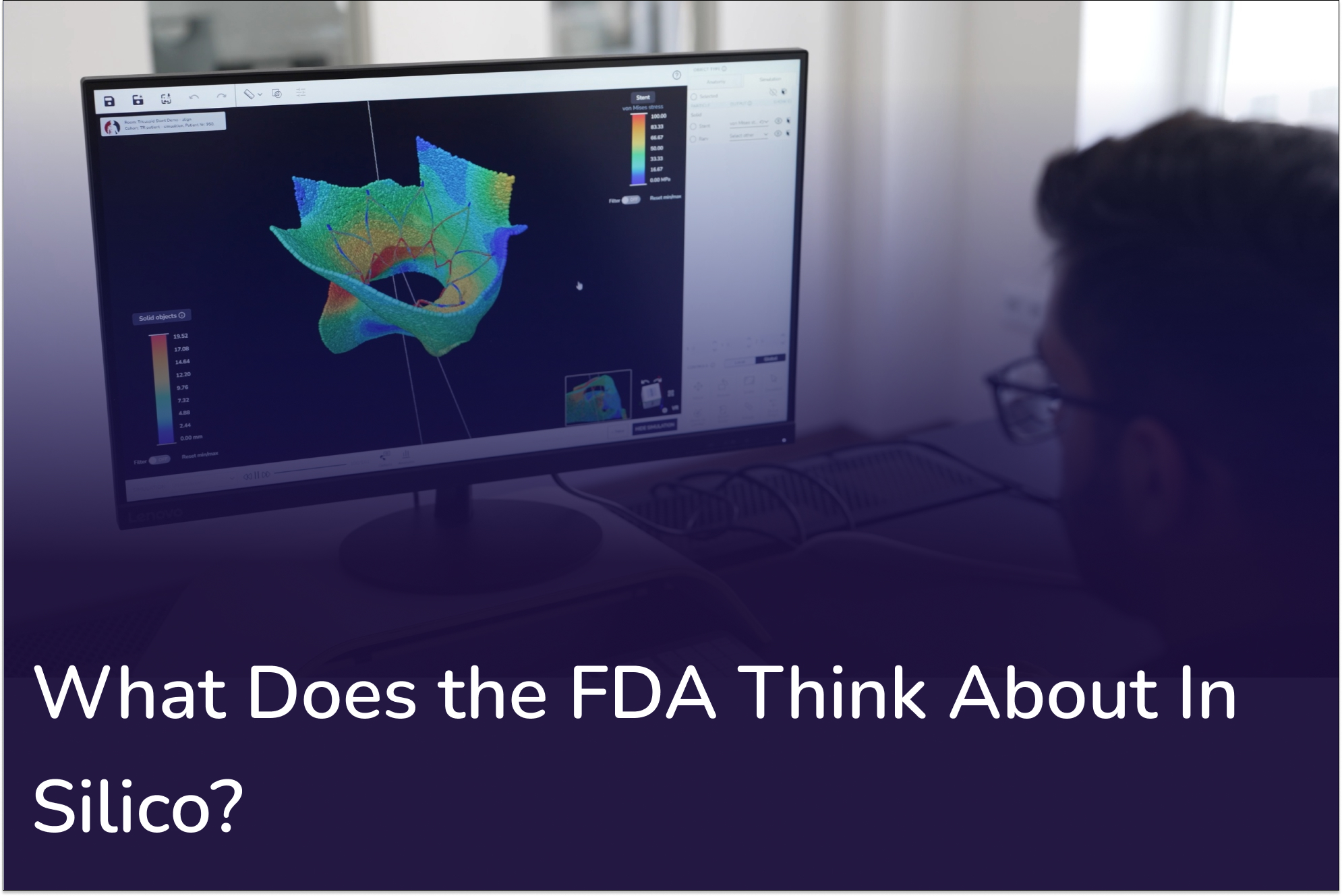 What Does the FDA Think About In Silico Evidence?