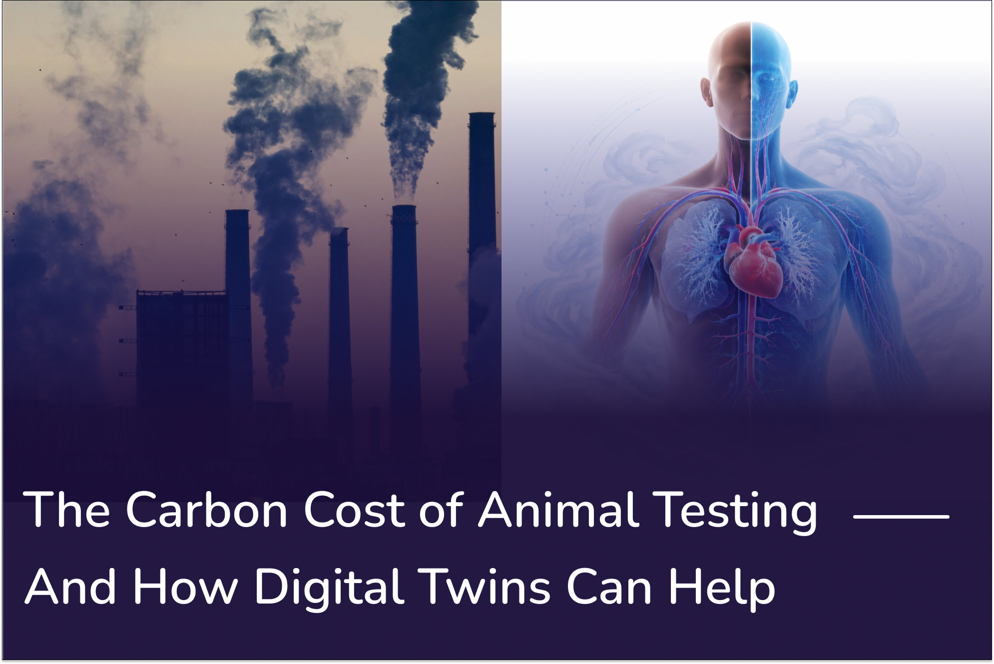 The Carbon Cost of Animal Testing — And How Digital Twins Can Help
